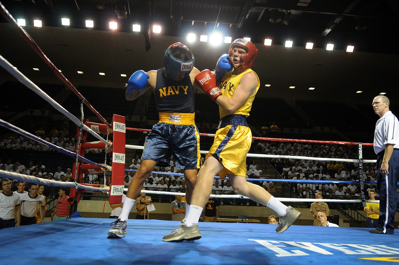 Os Maiores Torneios Profissionais De Boxe