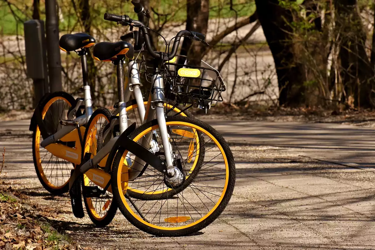 Evite ladrões de bicicleta: estratégias especializadas para proteger sua bicicleta na cidade