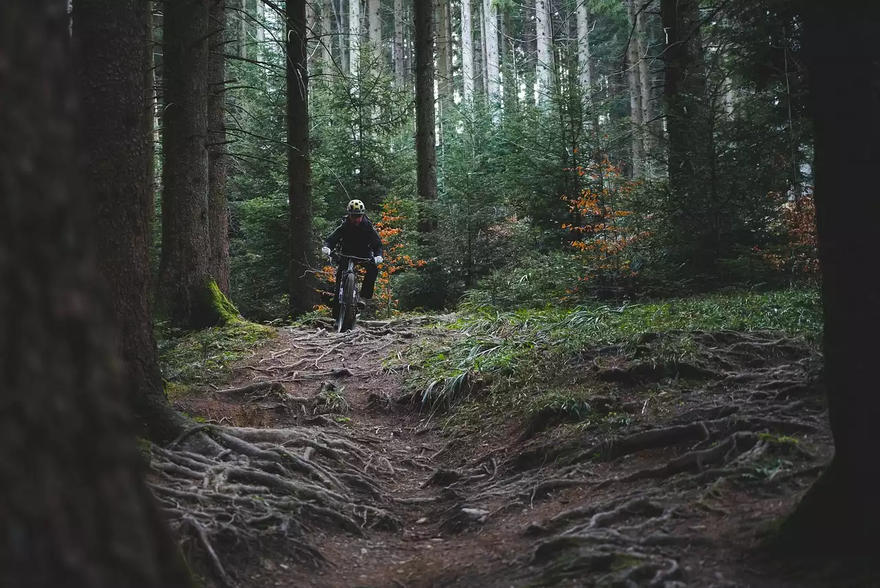 Riding the Trails: Essential Tips for Mountain Bikers to Stay Safe