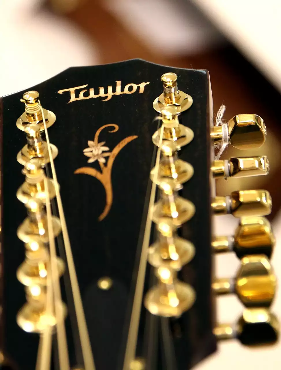 ההיסטוריה של טיילור גיטרות