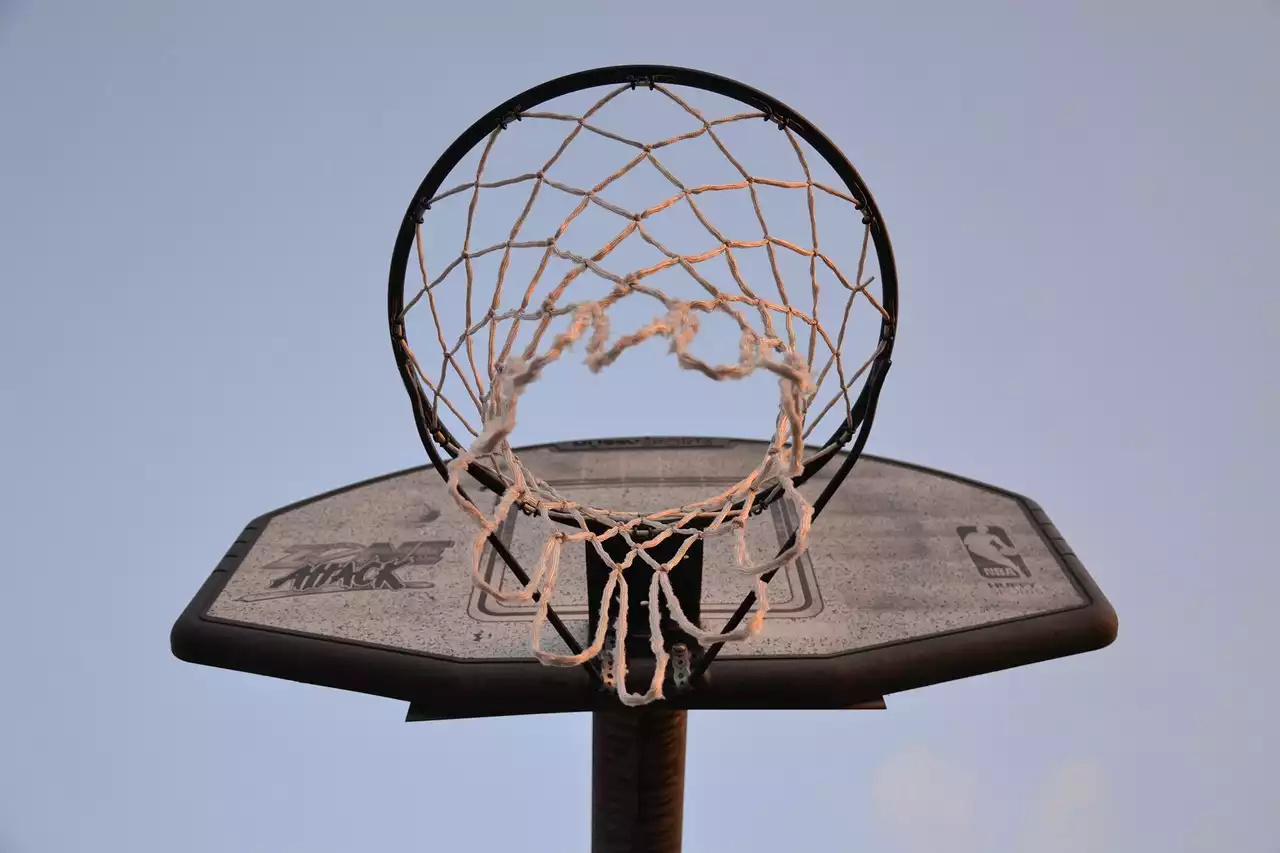 Turkish Basketball Super League (BSL)