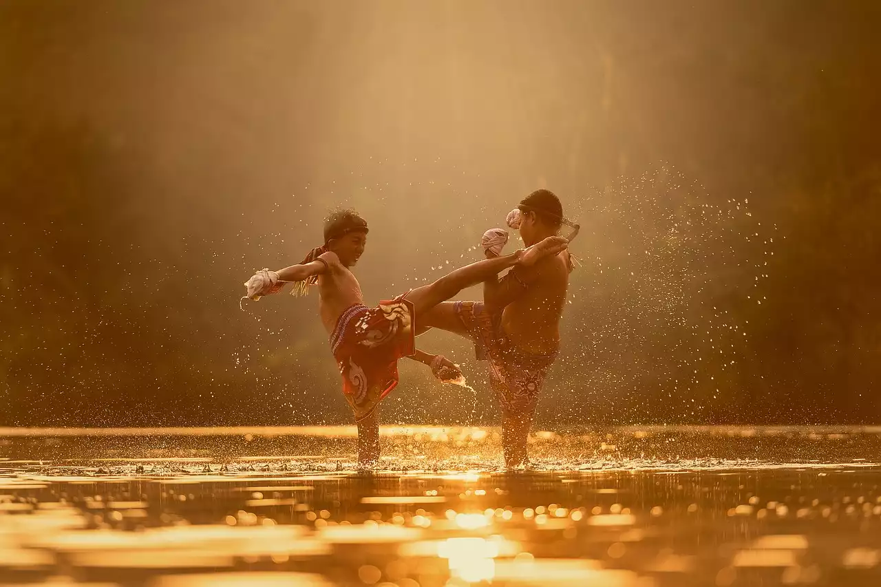 From Ancient Battles to Modern Sport: Tracing the Evolution of Martial Arts
