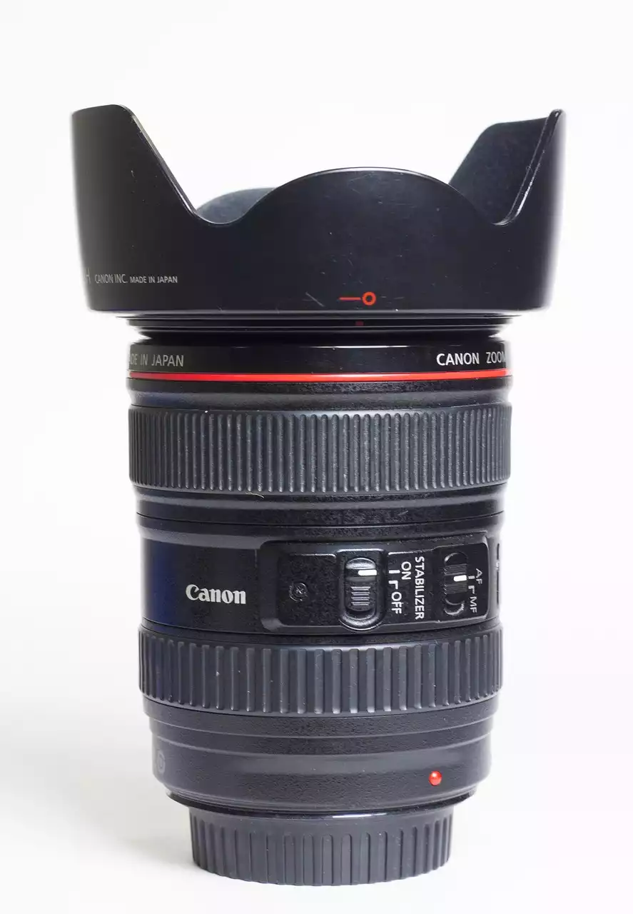 Canon L series are the Gold Standard in Lenses