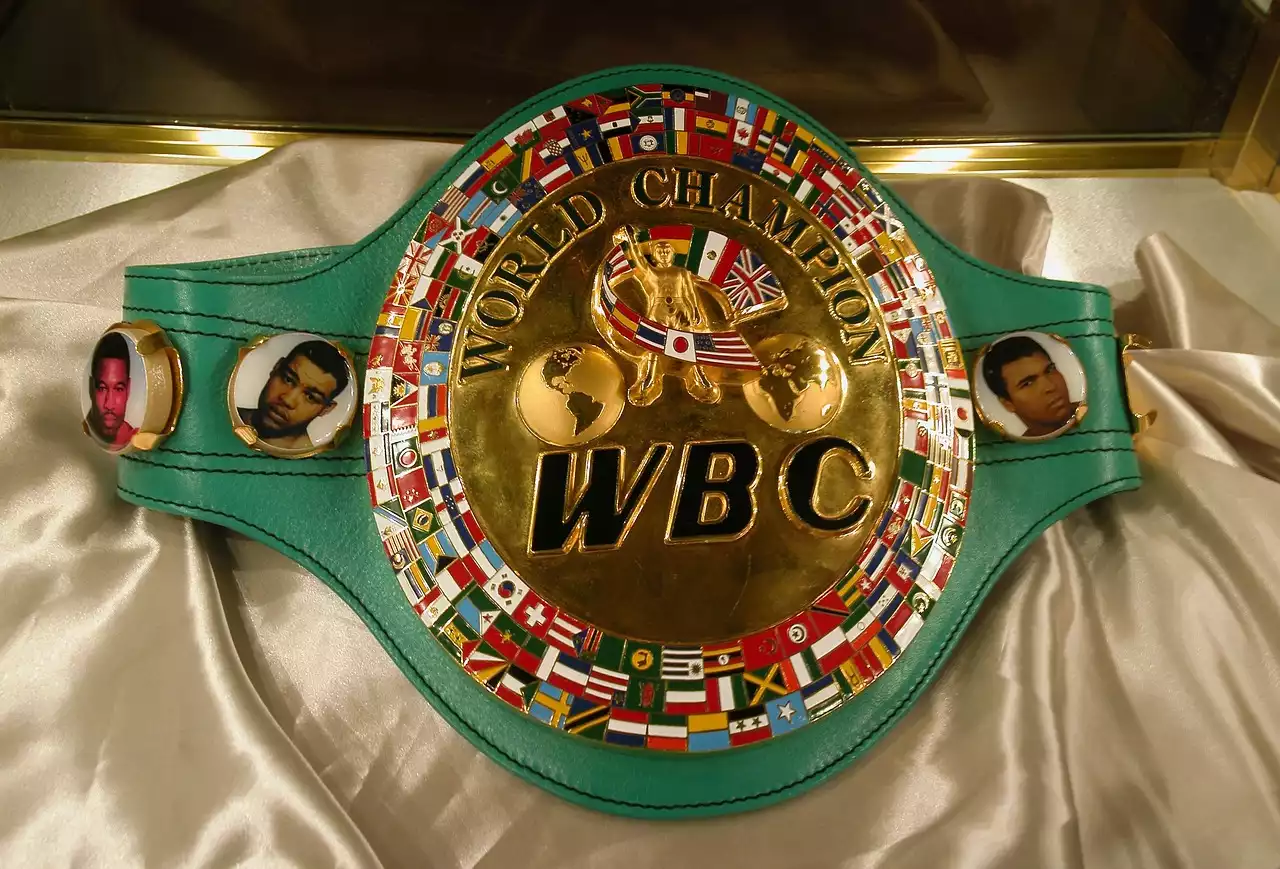 Understanding the Many Different Boxing Belts