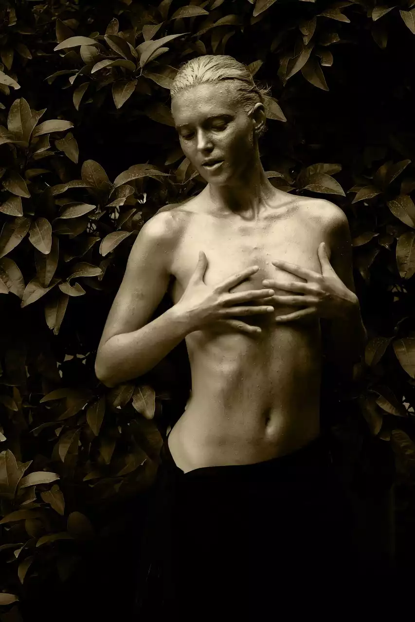 שימוש באדם כהתייחסות לציור