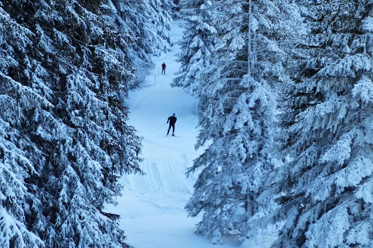 The Bold and Fearless Career of Bode Miller: A Look at His Impact on Alpine Skiing